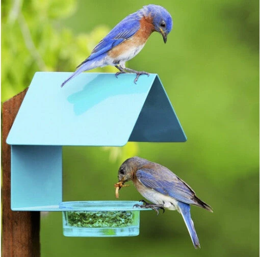 Fence-Post Bluebird Feeder- Blue Or Orange -Pet Supplies Store fence post bird feeder blue