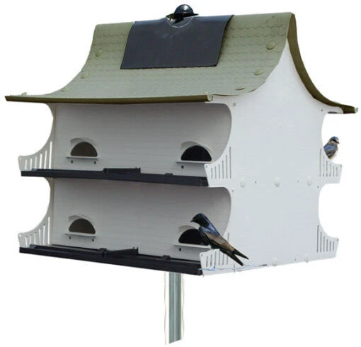 Purple Martin House-Starling Resistant -Pet Supplies Store great8house