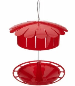 Humm-Bug Protein Hummingbird Feeder -Pet Supplies Store hum bug hummingbird feeder