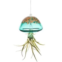 Jellyfish Air Plant Hangers Set/3 -Pet Supplies Store jellyfish air plant hanger green