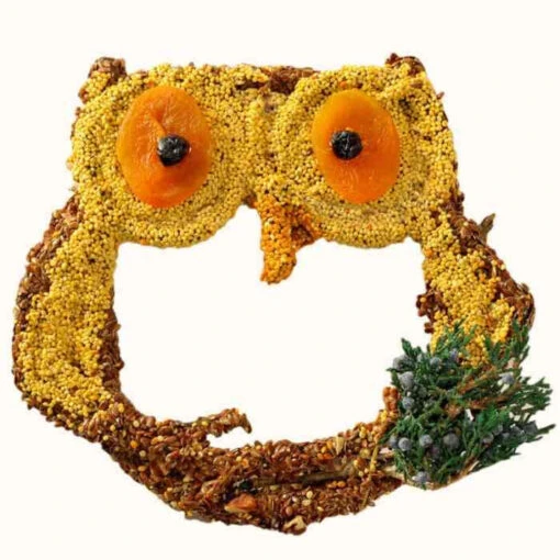 Big Owl Bird Seed Treat-Grapevine Form -Pet Supplies Store jpeg