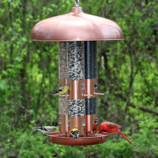 OPUS Large Capacity Triple Tube Bird Feeder W/ Copper Ports -Pet Supplies Store large capacity triple tube feeder in use