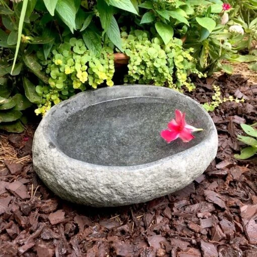 Organic River Stone Ground Bird Bath -Pet Supplies Store organic stone ground bird bath