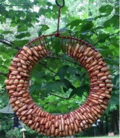 Whole Peanut Wreath Feeder -Pet Supplies Store peanut wreath feeder 0c398828 15c0 4b24 8b84 da876e874a9e