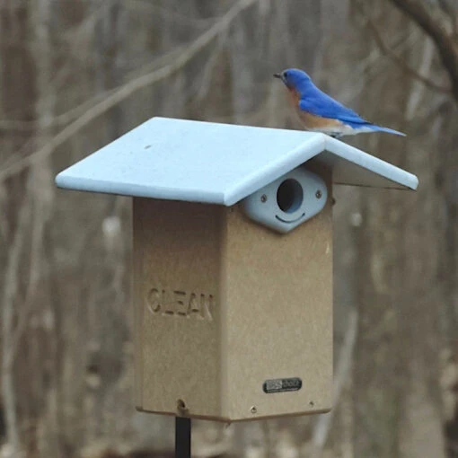 Deluxe Reycled Bluebird House-NABS Approved -Pet Supplies Store recycled plastic deluxe bluebird house