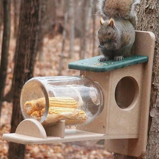 Recycled Squirrel Feeder Jar -Pet Supplies Store recycled squirrel jar feeder