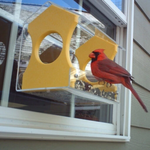 Recycled Window Bird Feeder-3 Colors -Pet Supplies Store recycled window bird feeder