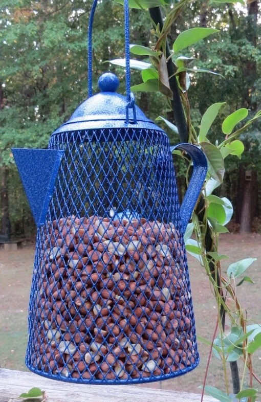 Teapot Bird Feeder- Peanuts/Sunflower -Pet Supplies Store shelled peanut bird feeder