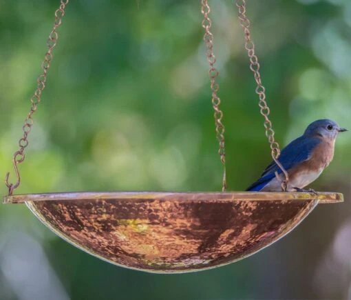 Solar Bubbler Copper Bird Bath W/ Hanger -Pet Supplies Store solar bubbler copper bird bath hanging