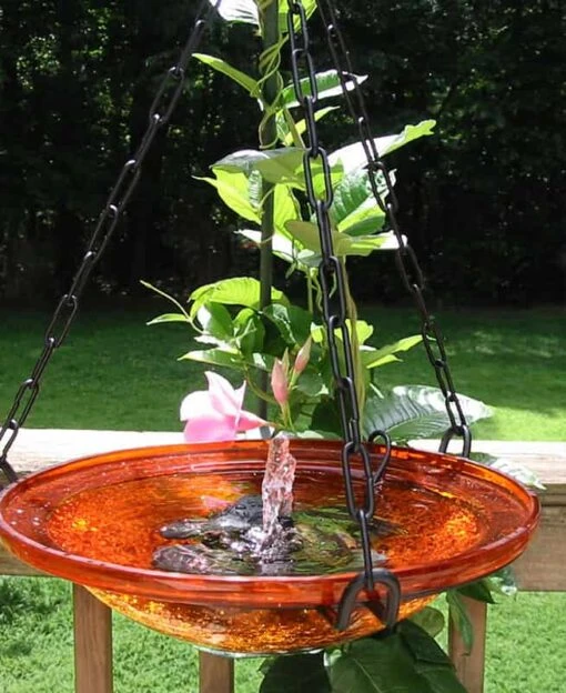 Solar Bubbler Hanging Bird Bath- 2 Colors -Pet Supplies Store solar bubbler hanging bird bath