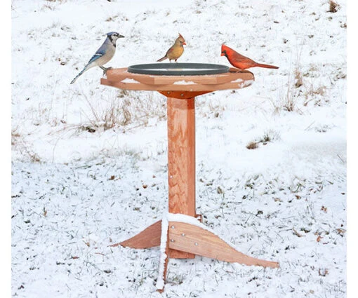 Tall Heated Bird Bath- Cedar Or Poly -Pet Supplies Store tall heated bird bath