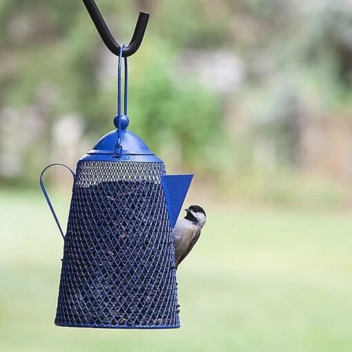 Teapot Bird Feeder- Peanuts/Sunflower -Pet Supplies Store teapot bird feeder for peanuts and balck oil