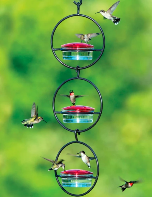 Triple Orb Glass Hummingbird Feeder -Pet Supplies Store triple orb glass hummingbird feeder