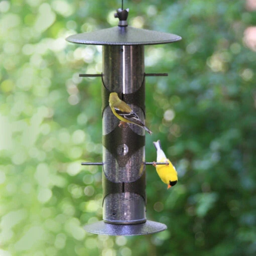 Upside-Down Finch Feeder -Pet Supplies Store upside down thistle feeder