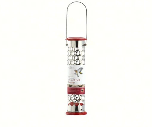 Stainless Steel Whole Peanut Feeder -Pet Supplies Store whole peanut feeder