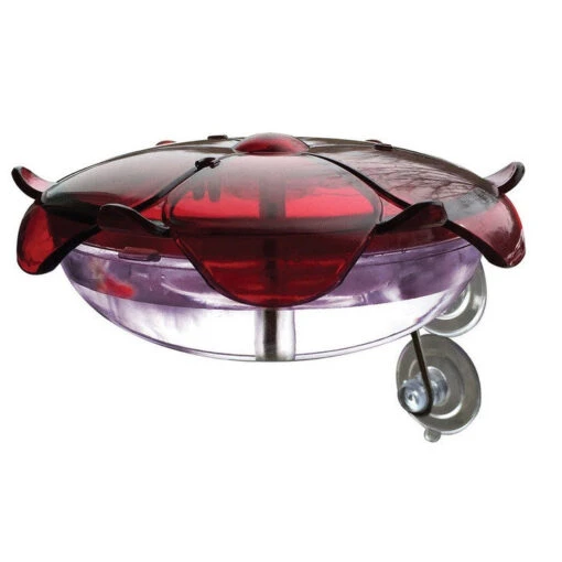 Window Mount Hummingbird Feeder -Pet Supplies Store window hummingbird feeder